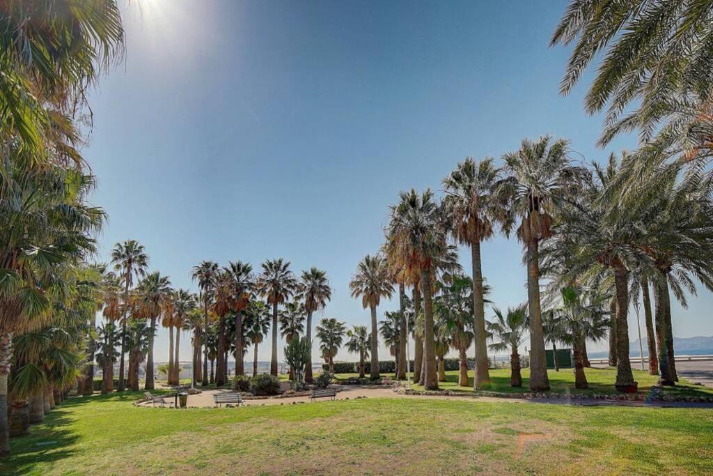 Le Palm - 100M Plage - Croisette - Verriere Cote D'Azur Leilighet Cannes Eksteriør bilde