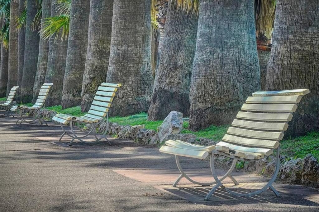 Le Palm - 100M Plage - Croisette - Verriere Cote D'Azur Leilighet Cannes Eksteriør bilde