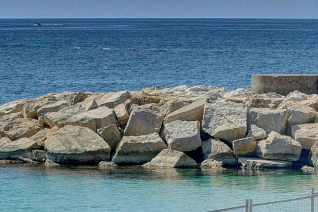 Le Palm - 100M Plage - Croisette - Verriere Cote D'Azur Leilighet Cannes Eksteriør bilde